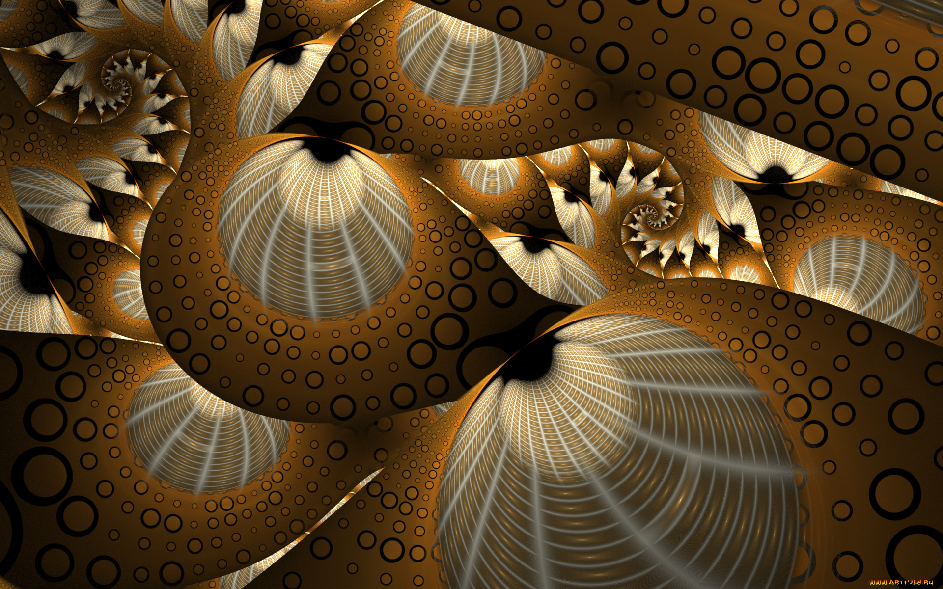 3 ,  , fractal, , , 